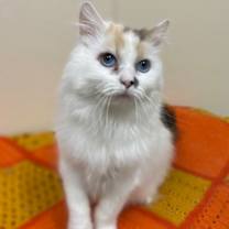 Thumbnail photo of Kelly OF12 #2