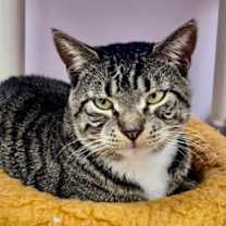 Thumbnail photo of Jax #1