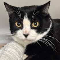 Thumbnail photo of Canyon #1