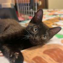 Thumbnail photo of Skeeter #4