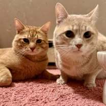 Thumbnail photo of Igor #4