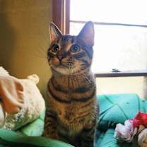 Thumbnail photo of Crash #2