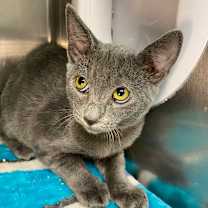 Thumbnail photo of Marty McFly #1