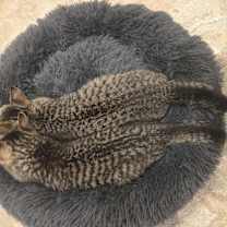 Thumbnail photo of Lisa #3