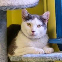 Thumbnail photo of Pistachio #2