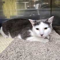 Thumbnail photo of Pistachio #3