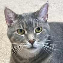 Thumbnail photo of Blair in CT #3