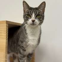 Thumbnail photo of Thalora(C000-671) - City of Industry Location #1