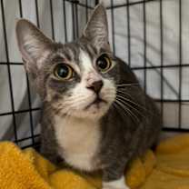 Thumbnail photo of Thalora(C000-671) - City of Industry Location #2