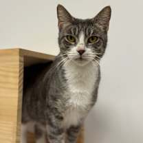 Thumbnail photo of Thalora(C000-671) - City of Industry Location #4