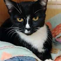 Thumbnail photo of Lucy #3