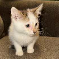 Thumbnail photo of JACK SKELLINGTON #4