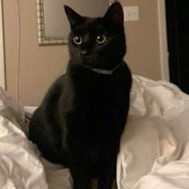 Thumbnail photo of Wednesday #2