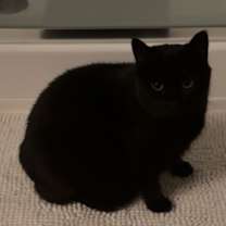 Thumbnail photo of Wednesday #3