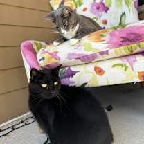 Thumbnail photo of Wednesday #4