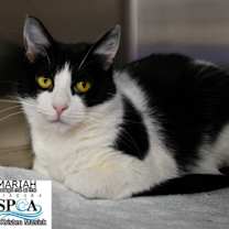 Thumbnail photo of Mariah #2