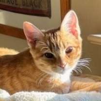 Thumbnail photo of Mabel #2