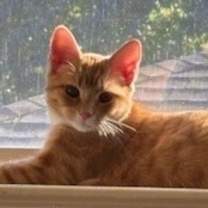 Thumbnail photo of Mabel #4