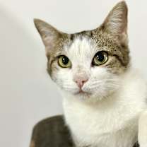 Thumbnail photo of Catrina #3