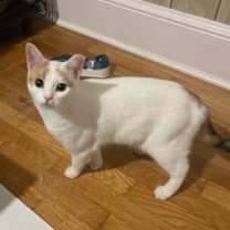 Thumbnail photo of Eloise #3