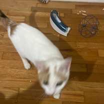 Thumbnail photo of Eloise #4