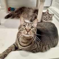 Thumbnail photo of Jack #3