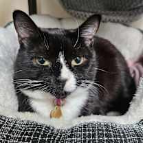 Thumbnail photo of Aruba #1