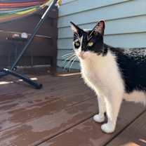 Thumbnail photo of Max #3