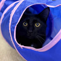 Thumbnail photo of Johnny #3