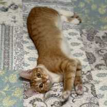 Thumbnail photo of GRACIE FOSTER #3