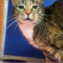 Thumbnail photo of Emma #1