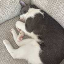 Thumbnail photo of Keisha - Home to Home #1