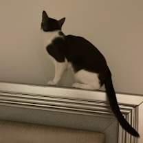 Thumbnail photo of Keisha - Home to Home #2