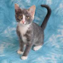 Thumbnail photo of Nancy #4