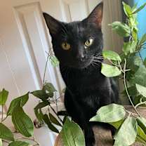 Thumbnail photo of Theo #1