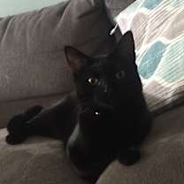 Thumbnail photo of Theo #4