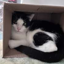 Thumbnail photo of SPARK #3