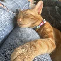 Thumbnail photo of Jack #2