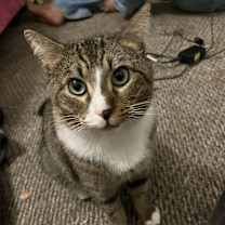 Thumbnail photo of Buddy #1