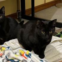 Thumbnail photo of Fahrenheit #2