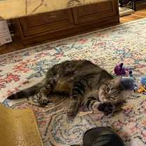 Thumbnail photo of Bea Arthur #1