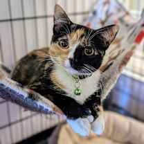 Thumbnail photo of Ariana #2