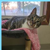 Thumbnail photo of Baby Yusuf #1