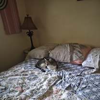 Thumbnail photo of Fred #1