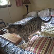 Thumbnail photo of Fred #2