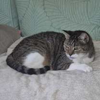 Thumbnail photo of Fred #3