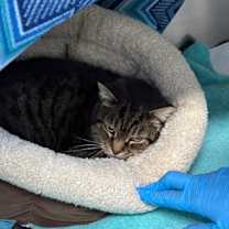 Thumbnail photo of Anita #3