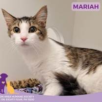 Thumbnail photo of Mariah #1