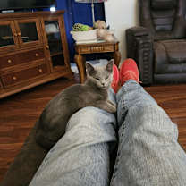 Thumbnail photo of Jerry Lucky #1