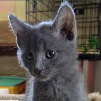 Thumbnail photo of Jerry Lucky #2